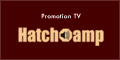 Hatch amp